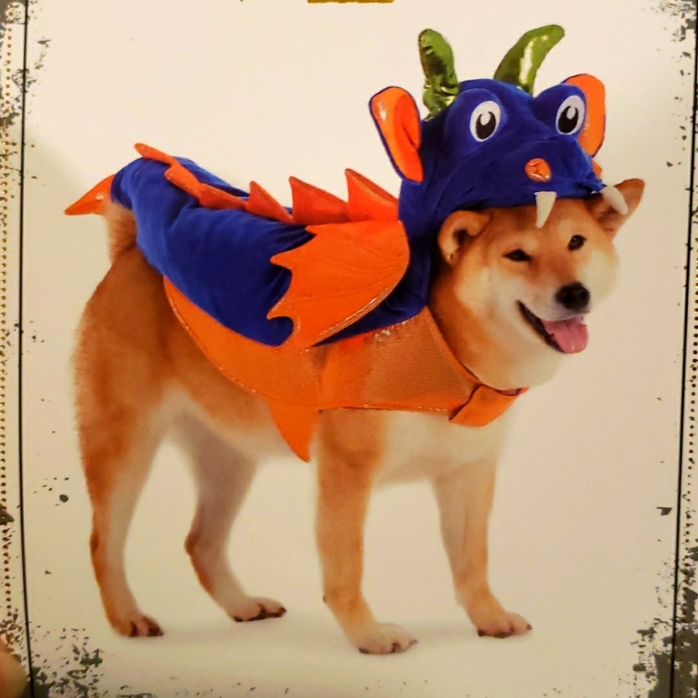 X-Large Dog Costume - Dragon